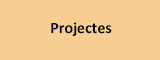 Projectes