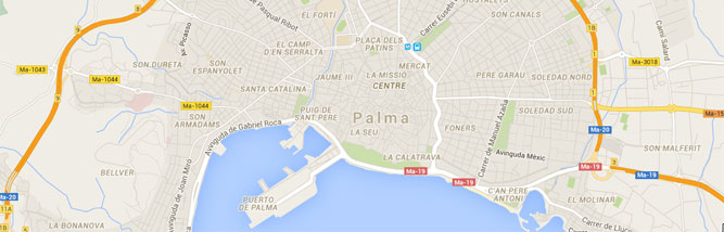 Mapa Renous Palma